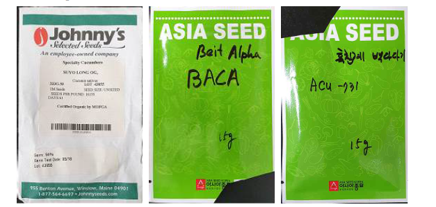 Cucumber varieties. Suyo-long, BACA(beit alpha) and Acu-731
