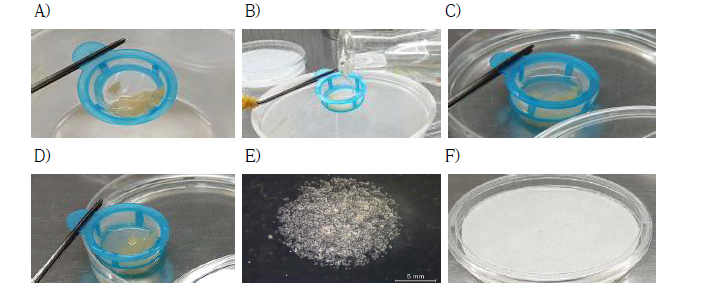 Suspension cell culture induction and transformation. A) Cell harvest. B) Cefotaxime water washing. C) Washing. D) Resuspend. E) 100μl Spotting in solid media plate and F) Spotting in sterilized filter paper