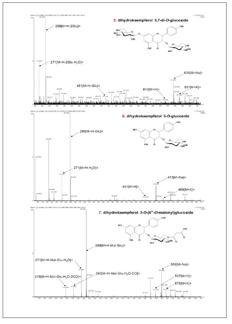 신규 생성 DHK 배당체들의 QTOF/MS 스펙트럼