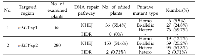 HDR efficiency of ε-LCY gene using CRISPR/Cas9-based geminiviral replicon system