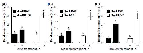 비생물적 스트레스에 대한 GmBEH3 유전자의 전사 발현 양상 분석. (A-C) 14일 동안 키운 콩 유식물체로부터 100 uM ABA(A), 400 mM mannitol(B) 및 가뭄(C) 처리 후, qPCR 방법에 의한 GmBEH3 유전자의 전사 발현 양상의 비교 분석하였다. GmEFL18 , Gm60S 및 GmFBOX 유전자들은 각 비생물적 스트레스 처리에 대한 control 유전자들로 이용하였다.