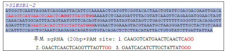 SlESB1-2 유전자에서 후보 sgRNA 선별