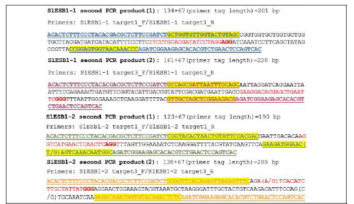 2nd PCR product sequence Blue, SlESB1-1의 75630-1 gRNA site sequencing을 위한 primer sequence; Pink, SlESB1-1의 75630-3 gRNA site sequencing을 위한 primer sequence; Green, SlESB1-2의 73030-1 gRNA site sequencing을 위한 primer sequence; Orange, SlESB1-2의 73030-3 gRNA site sequencing을 위한 primer sequence; Yellow highlight, 유전자 특이적인 primer sequence; Red, gRNA target site; 모계와 부계에 따라 서열이 다른 부위는 ‘/’ 기호를 통해 나타내었다
