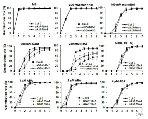 . 따라서 본 연구에서는 alkbh10b 돌연변이체의 고염분 스트레스 반응을 집중적으로 분석하였