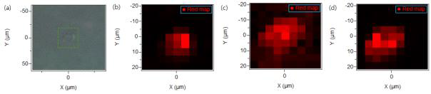 소포자 내 나노입자의 trapping 확인을 위한 공초점 라만 마이크로분광 분석. (a) 대표 적인 소포자의 brightfield image, 나노입자 (gCS-SWNT) 6 h incubation 8일 뒤 Raman mapping 분석 (b) 3 mg/L, (c) 6 mg/L, (d) 8 mg/L