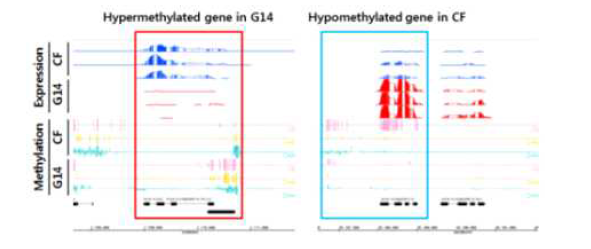 배추와 순무 유전자의 발현 및 DNA methylation 차이 연관 유 전자 탐색