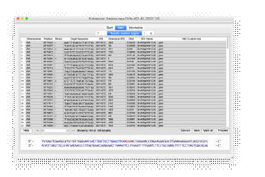 Input gene에 대해 제작된 guide RNA