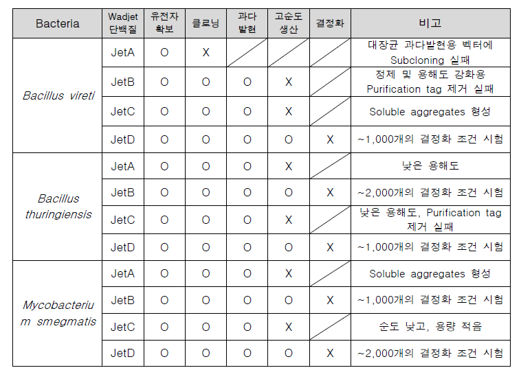 다른 Bacteria 유래 Wadjet 단백질 대상 연구결과 요약 (O:성공, X:실패)