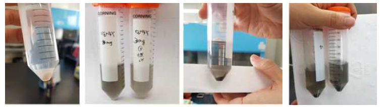 Csglycol-SWNT 8mg/L 2hr, 3mg/L 6h 처리