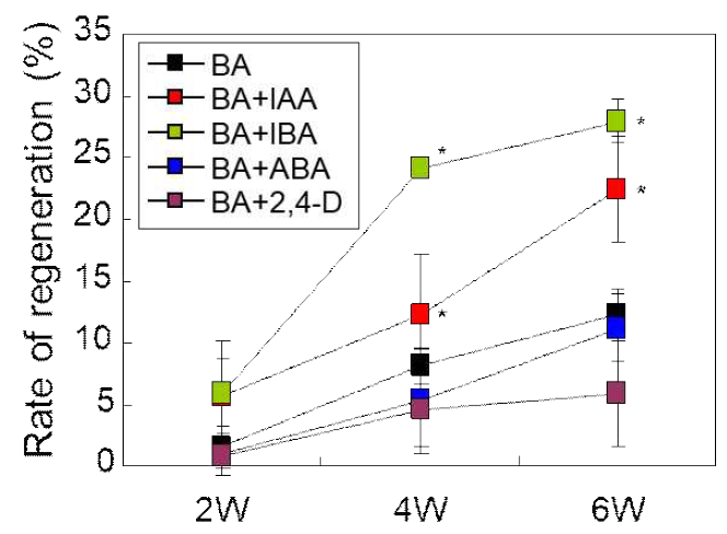 SIM 배지에 첨가된 Auxin의 종류에 따른 토마토 (cv. Super Doterang) 재분화율
