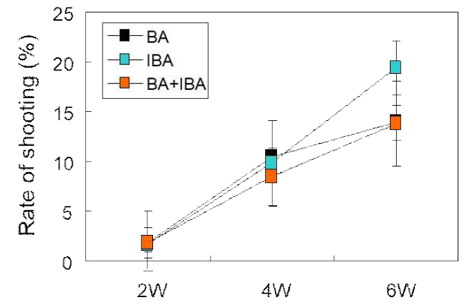CIM 배지에 첨가된 Auxin의 종류에 따른 토마토 (cv. Super Doterang) 재분화율
