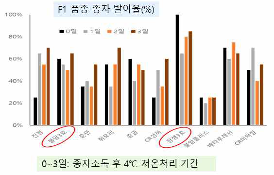 배추 F1 품종별 종자 소독 후 저온처리 유무 및 기간에 따른 발아율