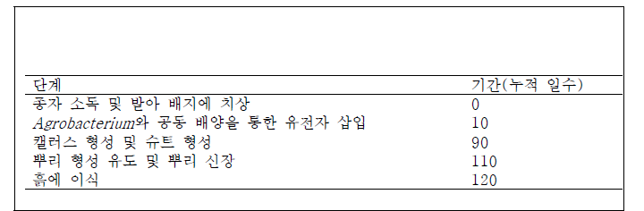 형질전환 단계별 기간