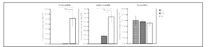 대장균에서 추출한 카로티노이드 HPLC 분석