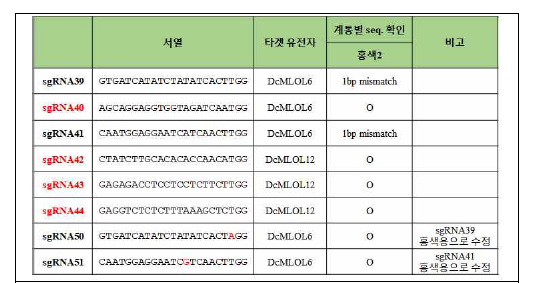 흰가루병 저항성 DcMLOL 유전자 타겟 sgRNA 제작