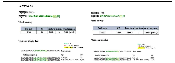 당근 원형질체 도입을 통한 DcSOL 유전자의 돌연변이율 (RNP26-50)