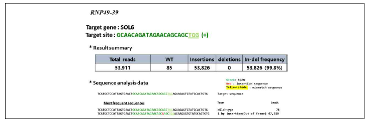 당근 원형질체 도입을 통한 DcSOL 유전자의 돌연변이율 (RNP49-39)