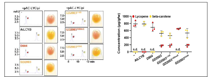HPLC 통한 DcLCYB2 재조합 단백질의 효소활성 분석 및 비교 그래프
