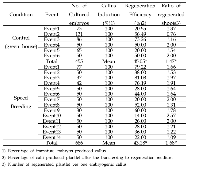 스피드 브리딩과 정상조건에서 채취한 미성숙배의 캘러스 유도와 식물 재분화 수행 목록