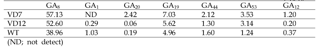 vdac knockout lines와 WT간의 GA1 생합성 경로 내 내인성 GA 함량 비교. (ng/g)