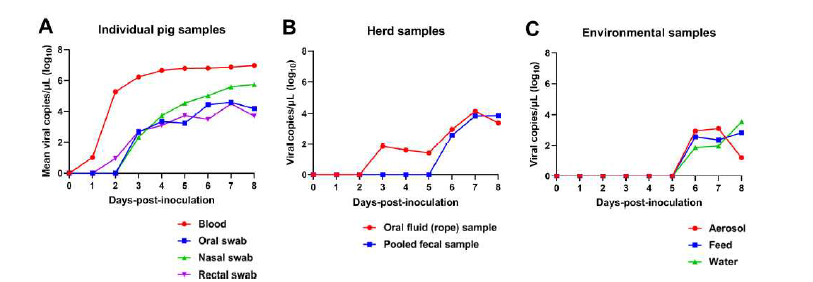 ASFV 감염 돼지 (A)개체샘플, (B)돈군샘플, (C)환경샘플의 바이러스 검출 역가 비교