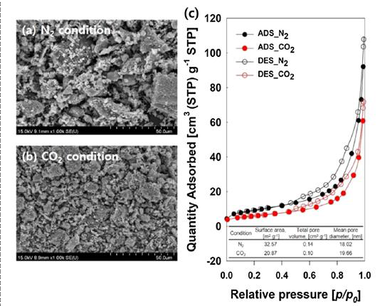 바이오차 SEM 이미지(좌) 및 비표면적 분석결과(우)