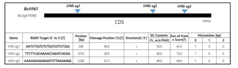 BoVIN3 gene sgRNA 위치 및 정보