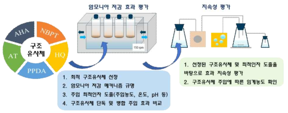 연구수행 개요