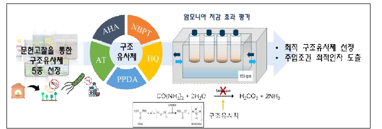 최적 구조유사체 선정 및 주입조건 최적인자 도출