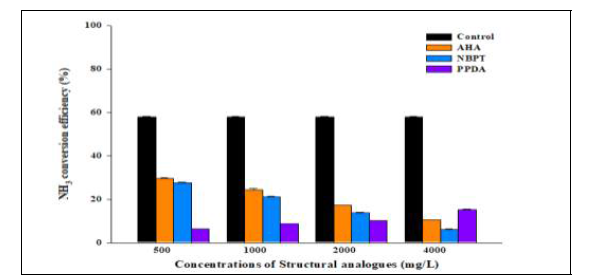 구조유사체 주입 농도에 따른 암모니아 전환 효율 비교