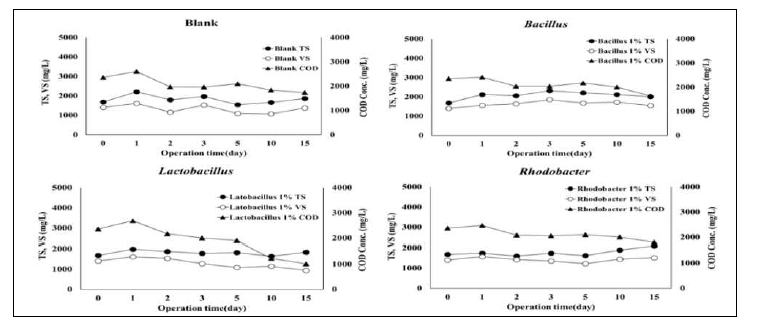 미생물제제 1%, 10% 주입시 COD 및 TS, VS 변화