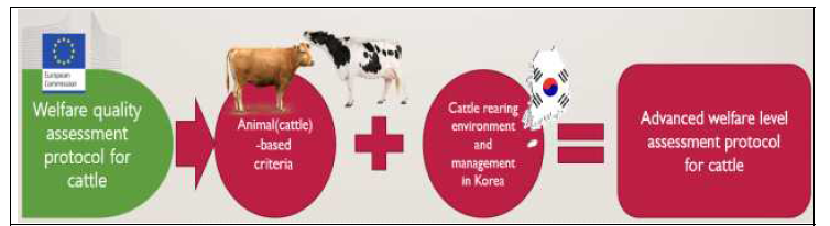 국내 대가축(소) 동물복지 수준평가 고도화 프로토콜 제작 특성 (유럽의 동물기반 측정법과 국내 환경 실정 동시 반영)