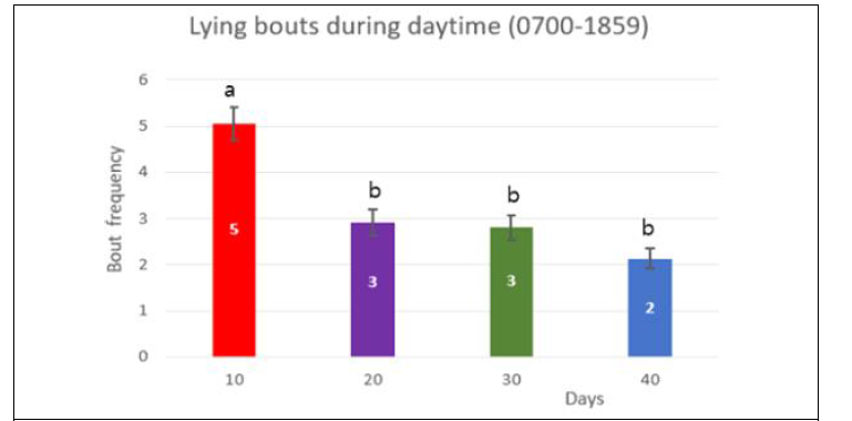 톱밥 설치 일령에 따른 한우 미경산우(n=36)의 낮시간(7:00-18:59, 12시간) 중 앉기횟수 변화