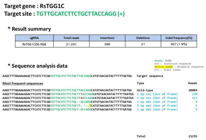 무 글로코시놀레이트 관련 유전자 RsTGG1C sgRNA validation 결과 및 indel 효율