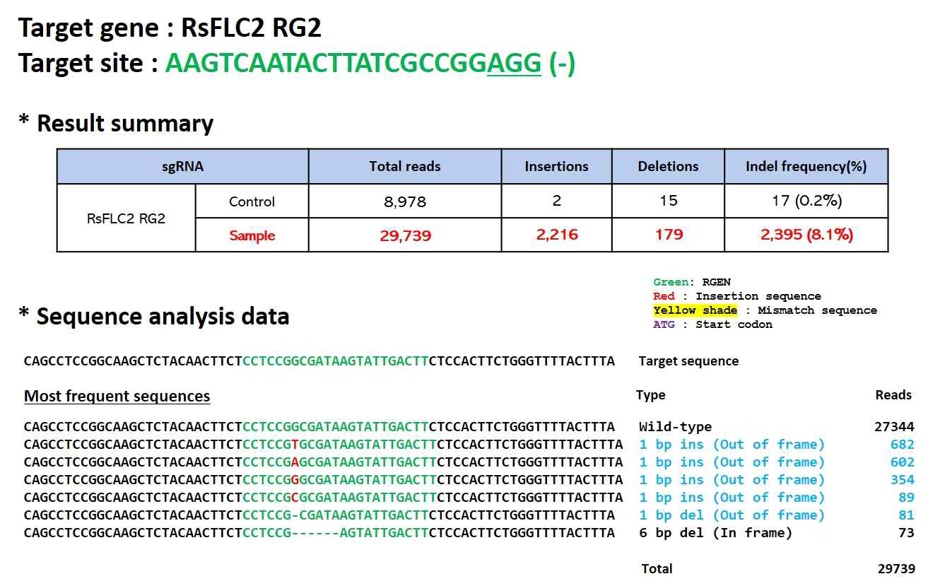 무 글로코시놀레이트 관련 유전자 RsFLC2 RG2 sgRNA validation 결과 및 indel 효율