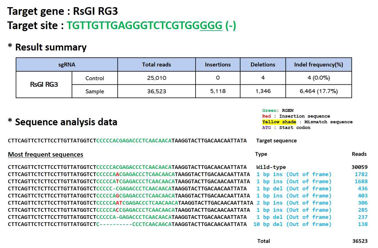 무 글로코시놀레이트 관련 유전자 RsGI RG3 sgRNA validation 결과 및 indel 효율