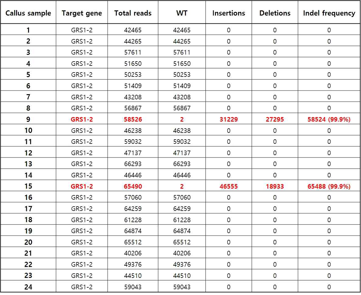 24개의 원형질체 유래 캘러스를 이용하여 표적유전자인 GRS 유전자 (GRS1-2 sgRNA)의 NGS (deep-seq.) 분석 결과