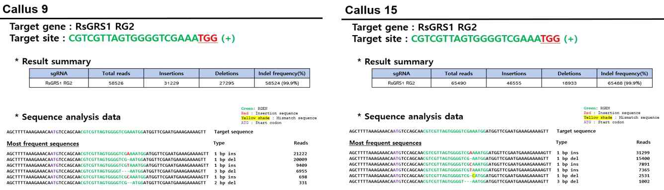 캘러스 #9과 #15 라인들의 indel frequency pattern
