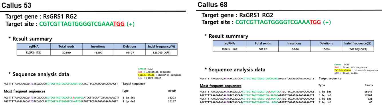 캘러스 #53과 #68 라인들의 indel frequency pattern