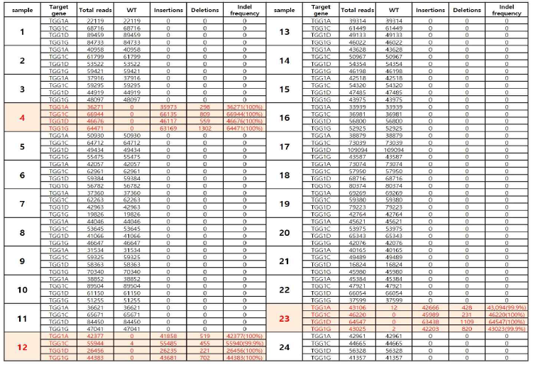 표적유전자인 TGG 유전자 (TGG 1-5 sgRNA/TGG1A, TGG1-6 sgRNA/TGG1C, TGG1D, TGG1G)의 NGS (deep-seq.) 분석 수행 결과