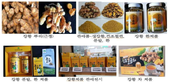 강황 수확물인 뿌리(근경) 및 판매용 제품