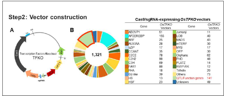 벼 내재해 전사인자 유전자군 (1,321 종)에 대한 CRISPR/Cas9 gRNA 벡터 요약