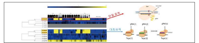 기능 중복성 예측 도구의 효율성 검증을 위한 유전자 교정기술 활용의 모식도