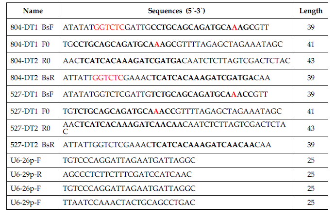 List of primers used for gRNA synthesis and cloning with destinations vectors pHEE401E (egg) or pHEE401E (ubq)