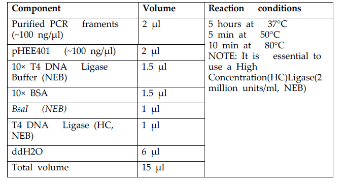 Ligation mixtures and temperature conditions used for golden gate reactions (to develop recombinant vectors)