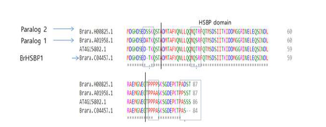 The AtHSBP and its homologs found in B. rapa genome-wide analysis and their respective amino acid sequences