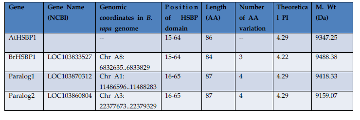 The comparison of protein characteristics of BrHSBPs with Arabidopsis HSBP1