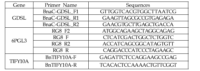 유전자 교정 작물 sgRNA 영역 InDel 확인을 위한 PCR primer 정보