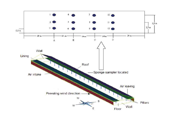 SMDAE method를 이용한 암모니아 배출량 산정방법 모식도 출처 : A simple methodology to measure ammonia flux generated in naturally ventilated poultry houses, 2014, Jairo Alexander Osorio Saraz