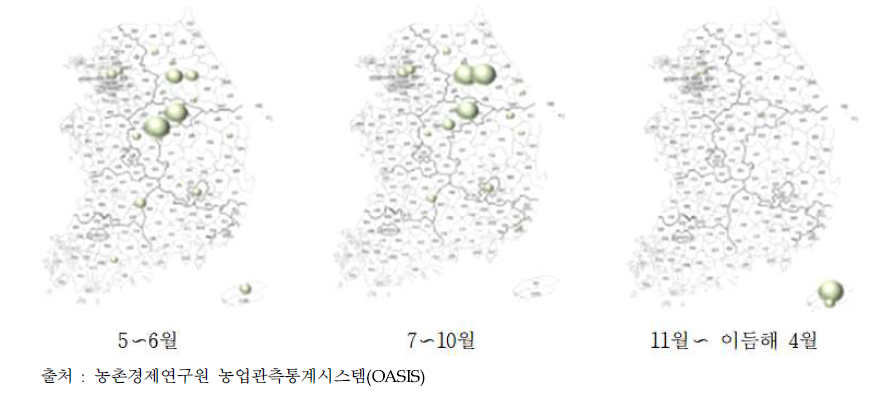 브로콜리 월별 주요출하 지역